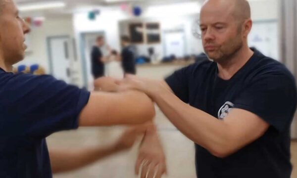 Introduction to Wing Chun - Image 3